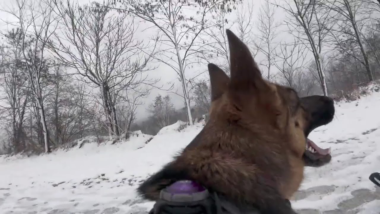 Snow day