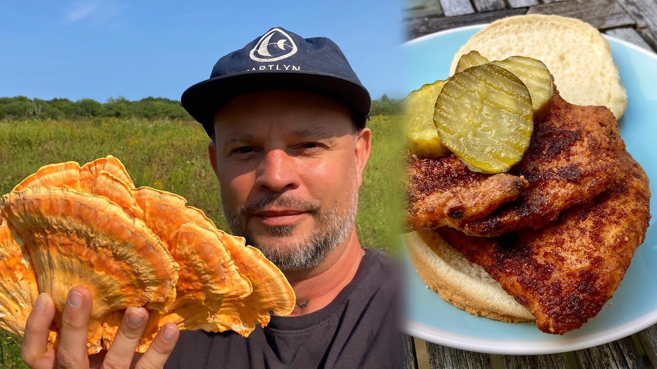 Nashville NOT Chicken | Fall Mushroom Foraging