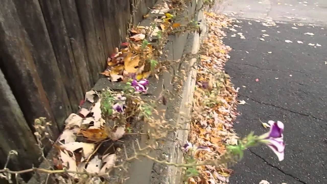WRONG UP OUR ALLEY