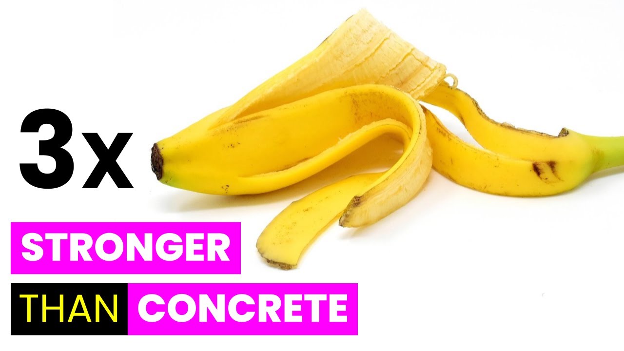 Building Material from Food Waste is Stronger than Concrete | Future Technology & Science News 22