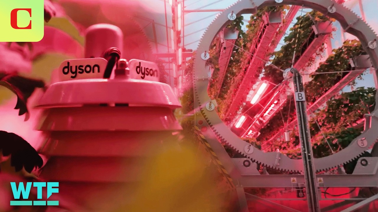 Inside Dyson's New Circular Strawberry Farm | What The Future