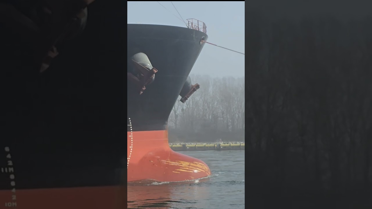 Nowy japoński masowiec we zbudowany w 2025 roku SSI Formidable II wchodzi do gdańskiego portu.