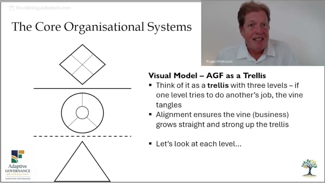 The Adaptive Governance Framework &ndash; The Three Organising Systems
