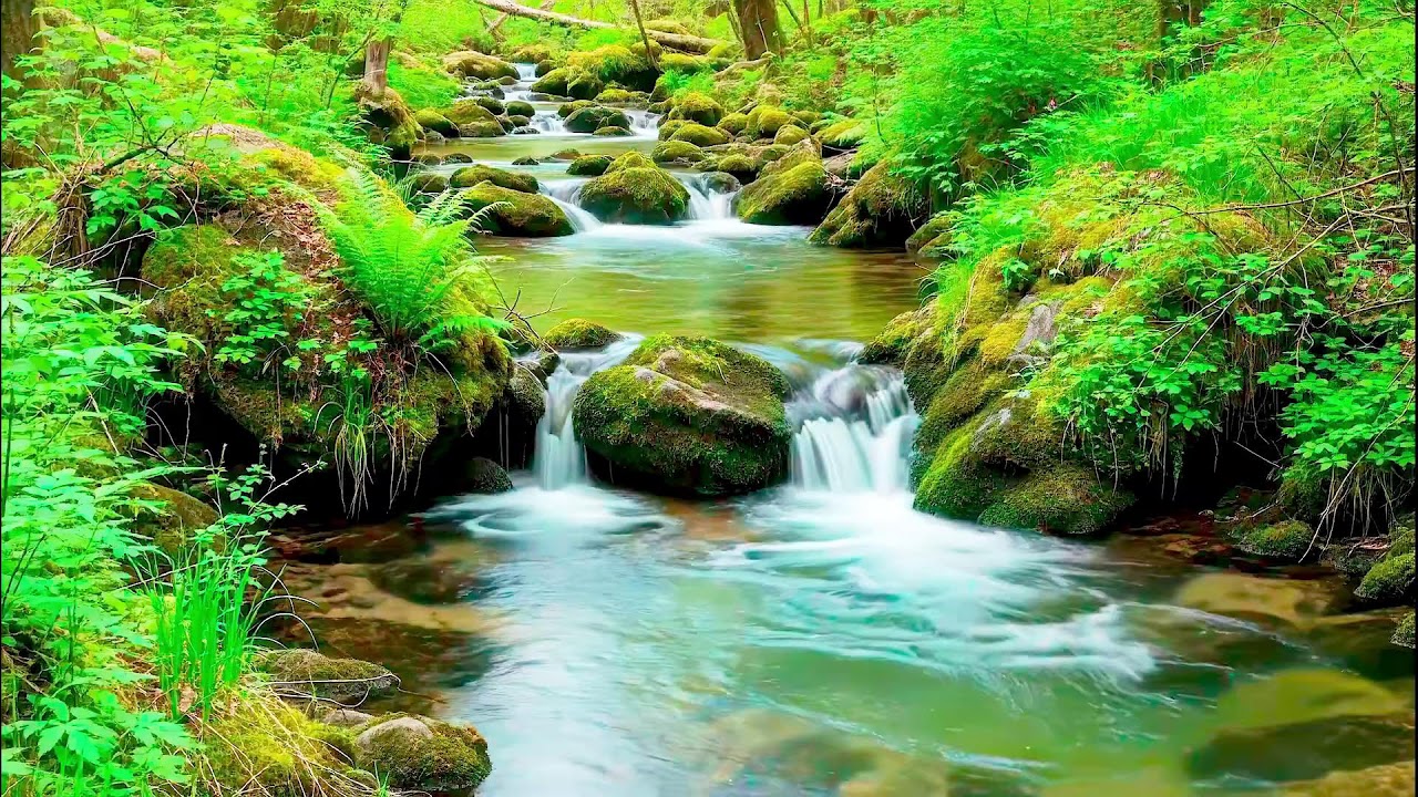 Relaxing River Sound for Deep Sleep | Health Boosting Ambience for Peaceful Rest