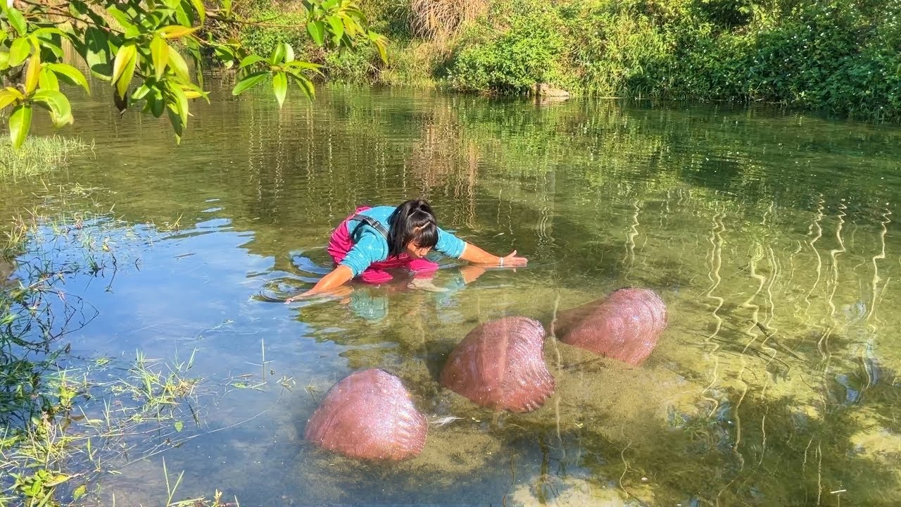 Pearl treasure was discovered in the river, with unique clam colors and rich and tempting wealth