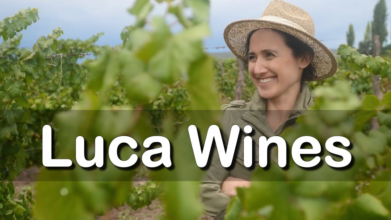 Luca Wines, os vinhos da Laura Catena🍷#012