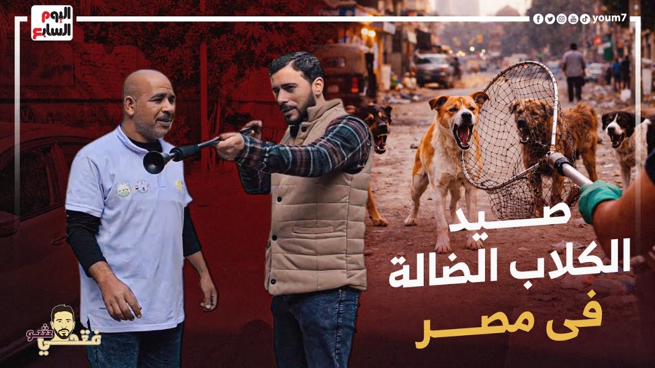 داخل أخطر مهمة في شوارع مصر.. صائدو الكلاب الضالة يكشفون الحقيقة #فتحى_شو