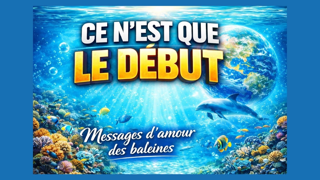 Ce message va &eacute;lever ta fr&eacute;quence maintenant - Message d'Amour des Baleines