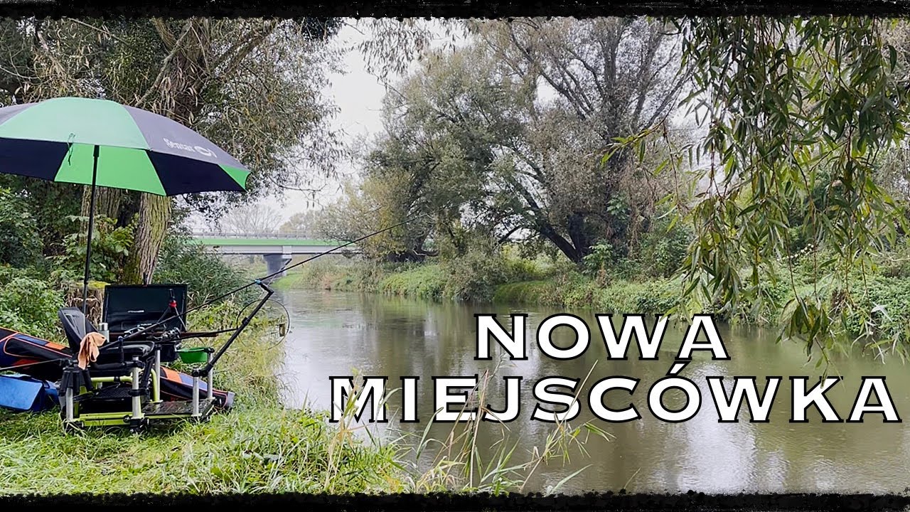 Wieprz na Mieście
