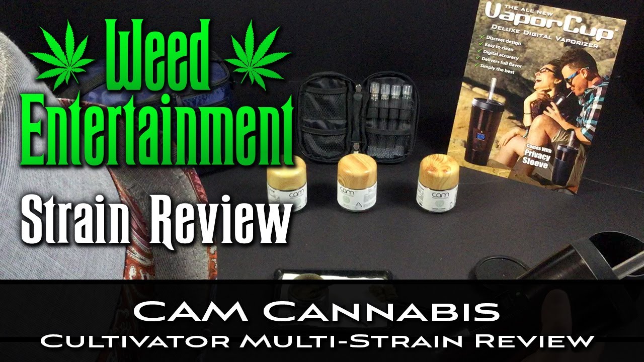 CAM Cannabis - Cultivator Multi-Strain Marijuana Review - 3 strains - Feb 2021
