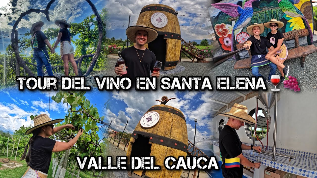 Tour de la UVA🍇 y el VINO en TIERRA PARAÍSO Santa Elena Valle del Cauca🍷