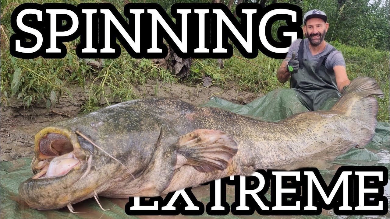 Extreme spinning fishing  fisherman caught a 220 pound catfish in Italy by Yuri Grisendi