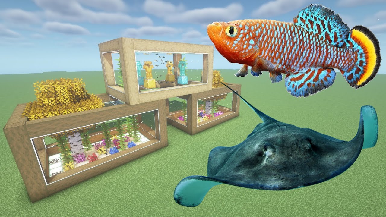 How To Make a Killifish and Stingray Farm in Minecraft PE