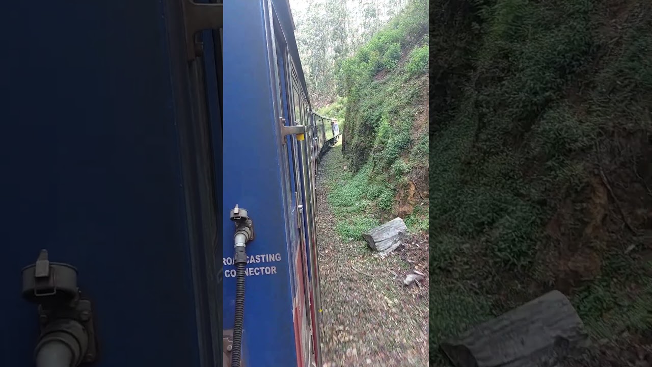 Train Ride Joy #viral #trending #subscribe #srilanka #shortsvideo