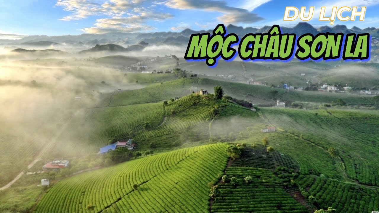 Du Lịch Mộc Châu - Sơn La | Khám phá những điểm du lịch đẹp nhất