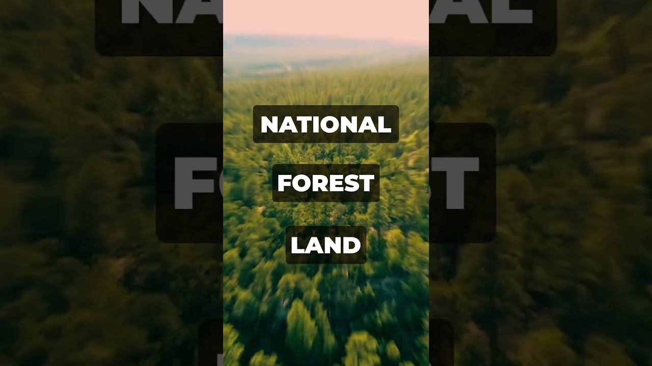 20 Acres of Mountain Land for Sale in New Mexico bordering National Forest