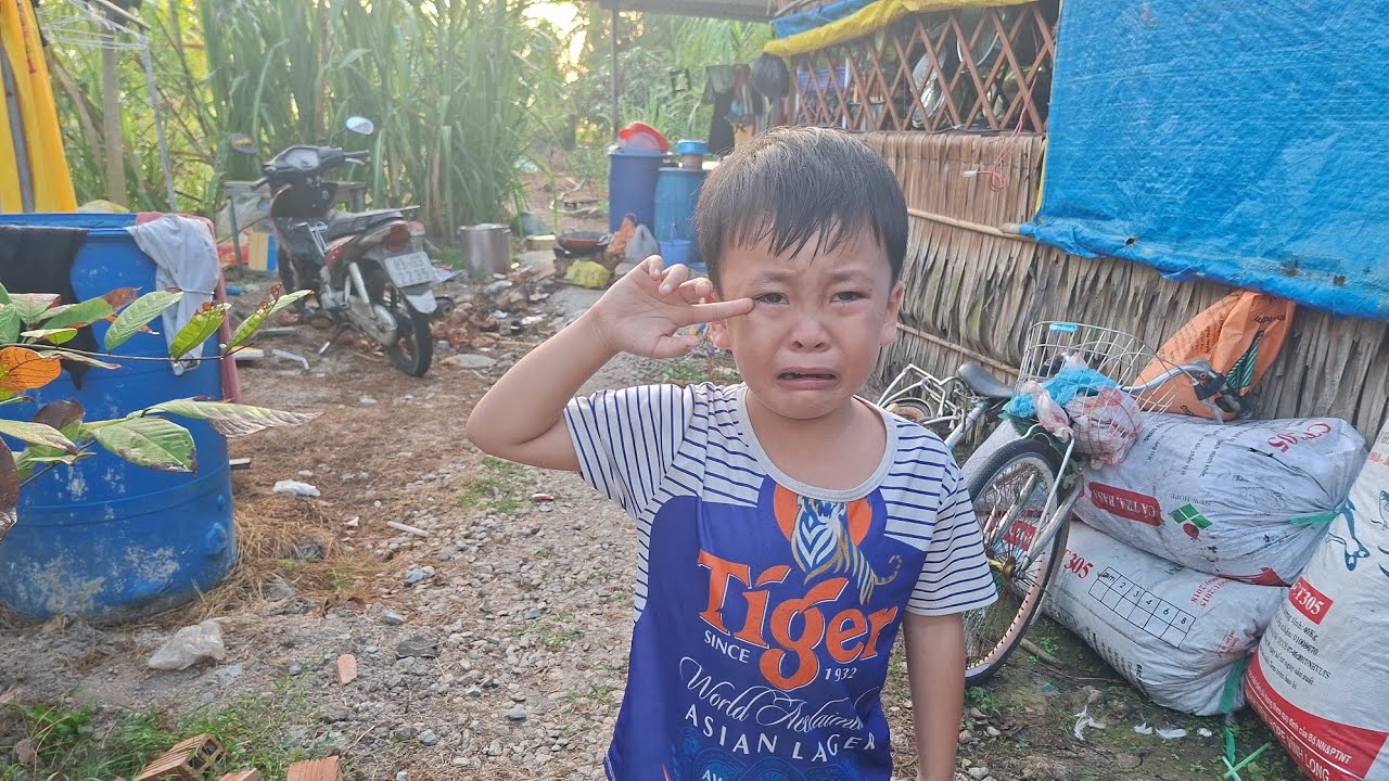 Chuột Chạy Vô Kêu Cha Đi Trôn Xà Lách Rồi Khóc Nức Nở #meconnhachuot #chuotkhocnucno