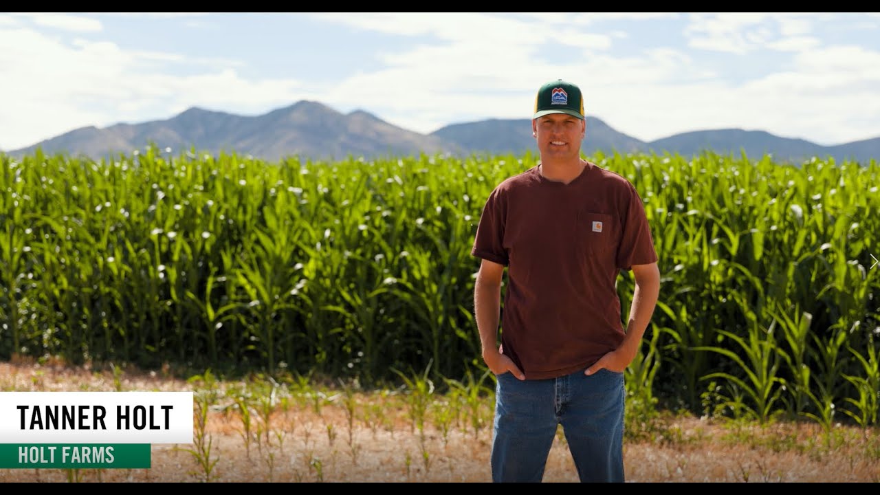 Proliant Plant Growth Regulator Grower Testimonial