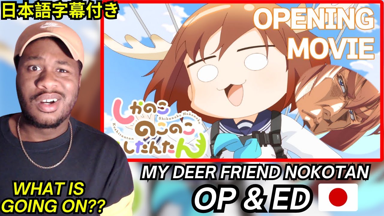 First Time REACTING to My Deer Friend Nokotan OP & ED REACTION「しかのこのこのここしたんたん」【リアクション】[海外の反応]