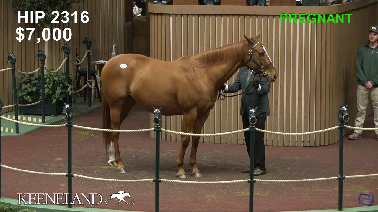 Keeneland Live Feed