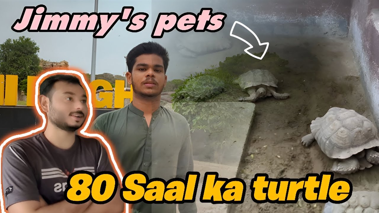 80 Saal ka kachwa TALEEMI BAGH ZOO | @jimmy-junaid 