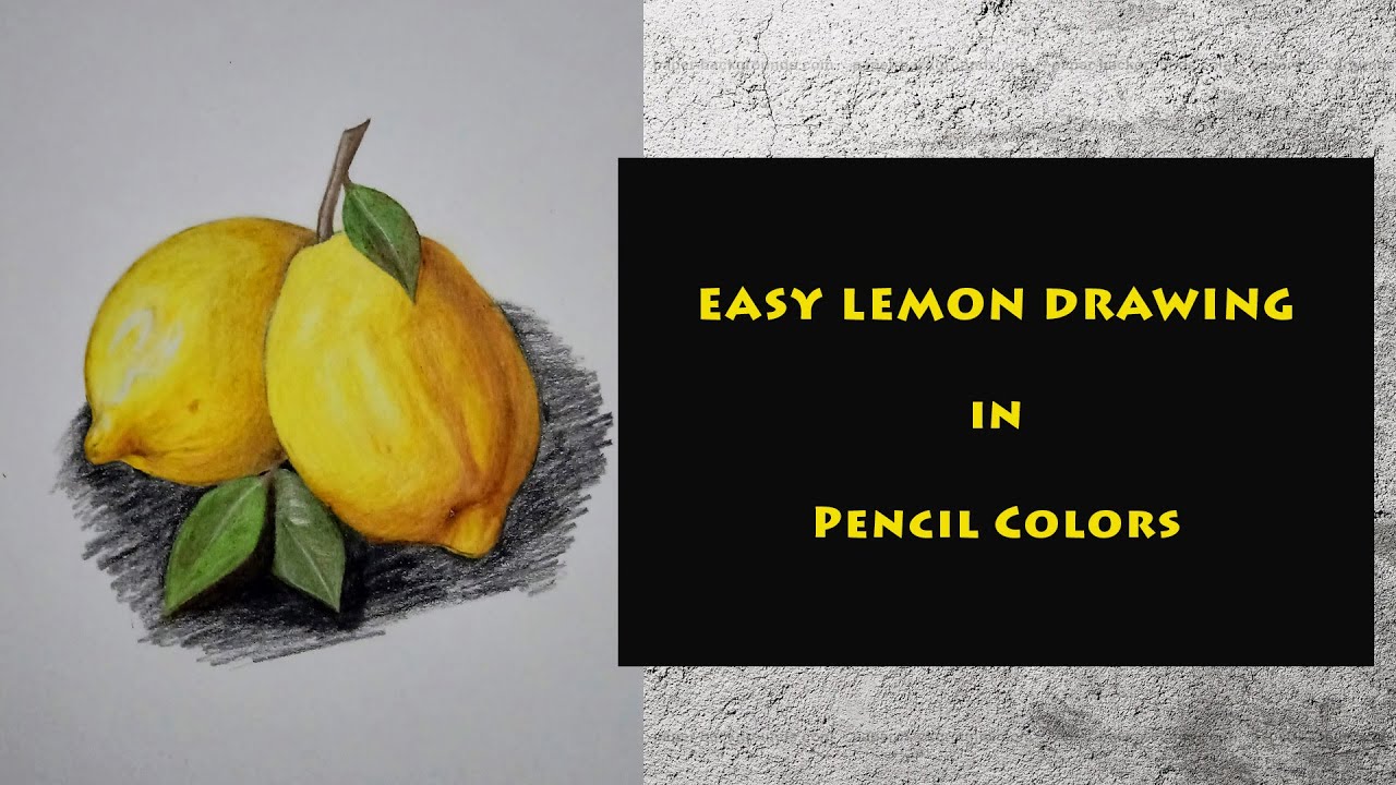 How to draw lemons using pencil colors