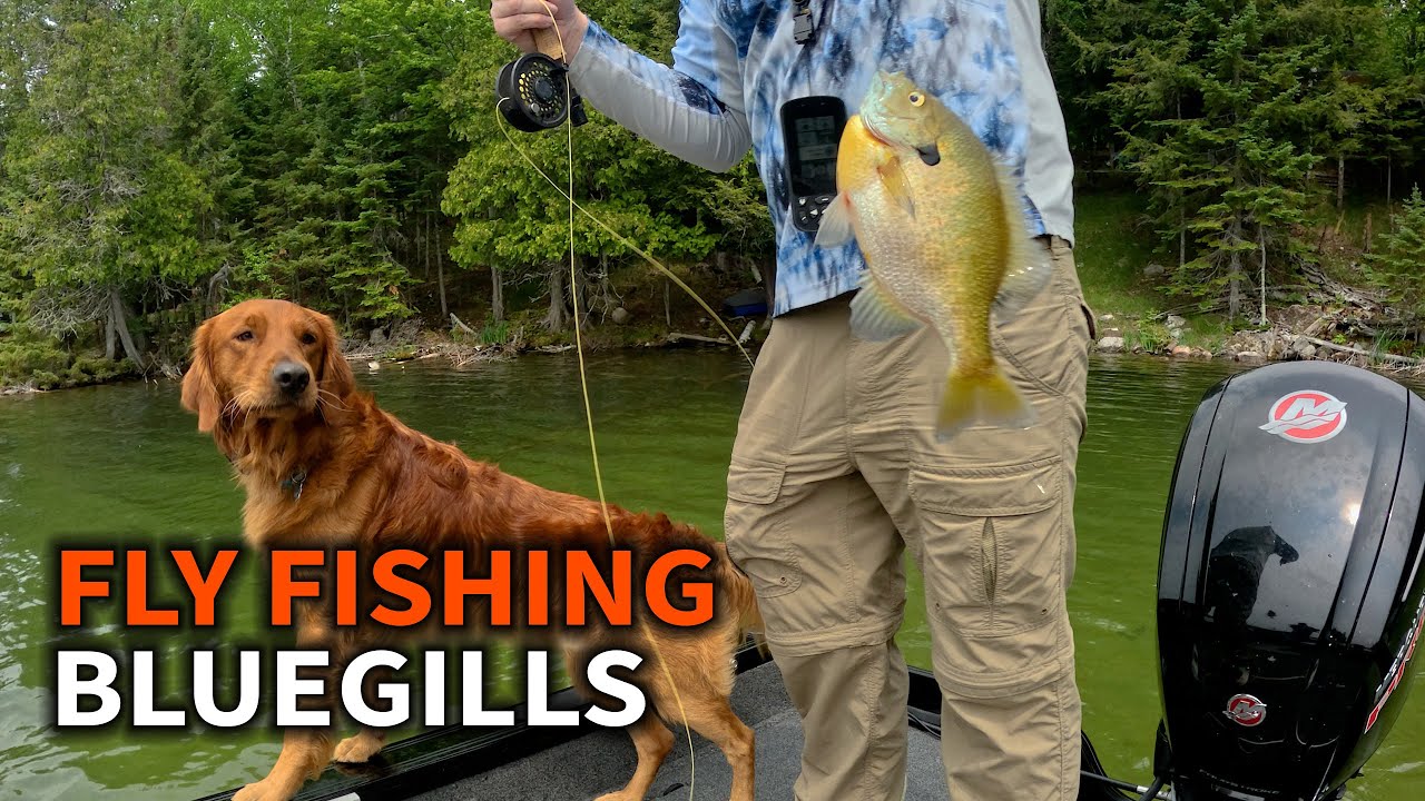 Dispersed Camping Adventure: 3 Day Upper Michigan Fly Fishing Trip