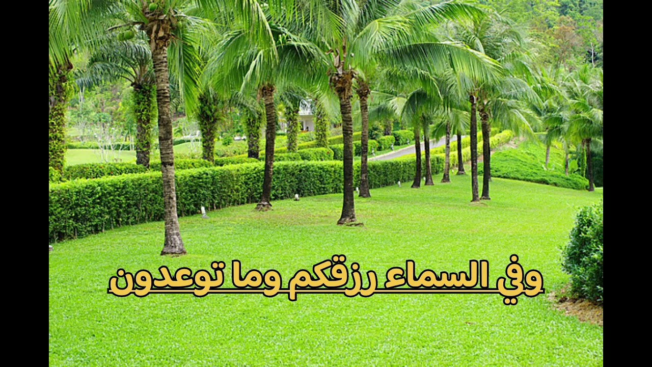 @ الرزق من عند الله