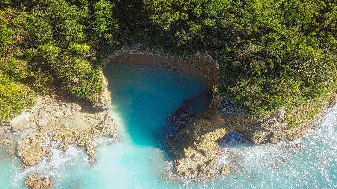Guadeloupe 📍Anse Castalia Pointe Des Chateaux