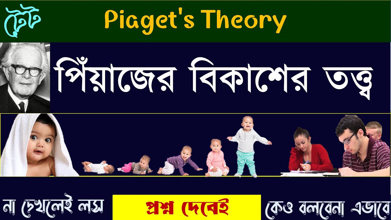 Piaget's Cognitive Development Theory পিঁয়াজের প্রজ্ঞামূলক/জ্ঞানমূলক তত্ত্ব CDP Important Topic