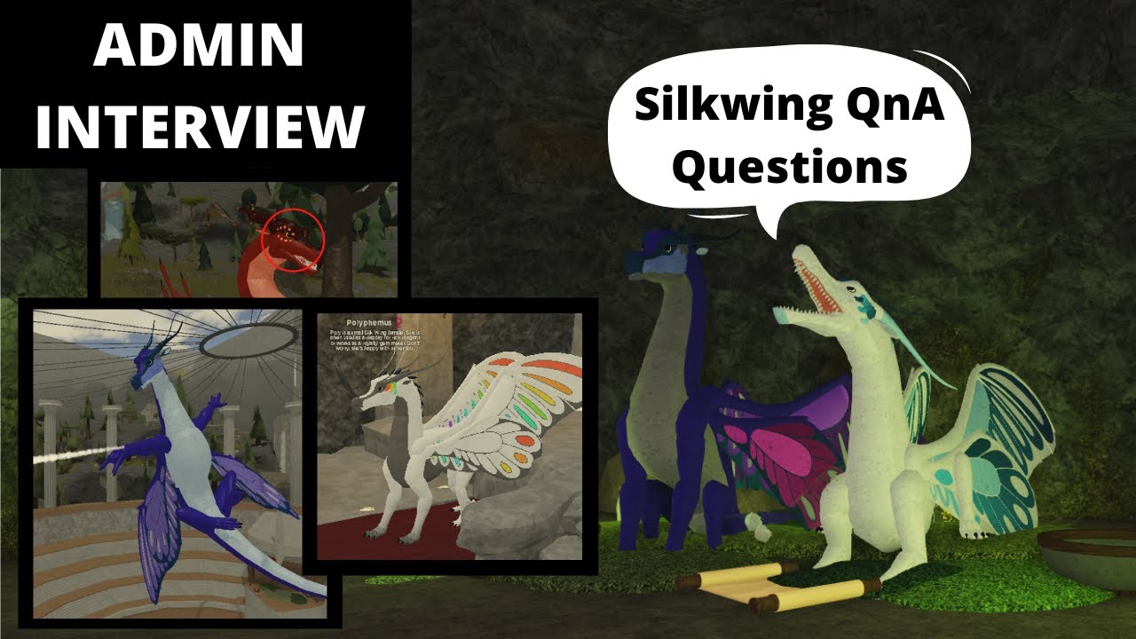 Admin Silkwing Interview! - Gem Embed News, Silkwing Appearance, Common Questions Answered