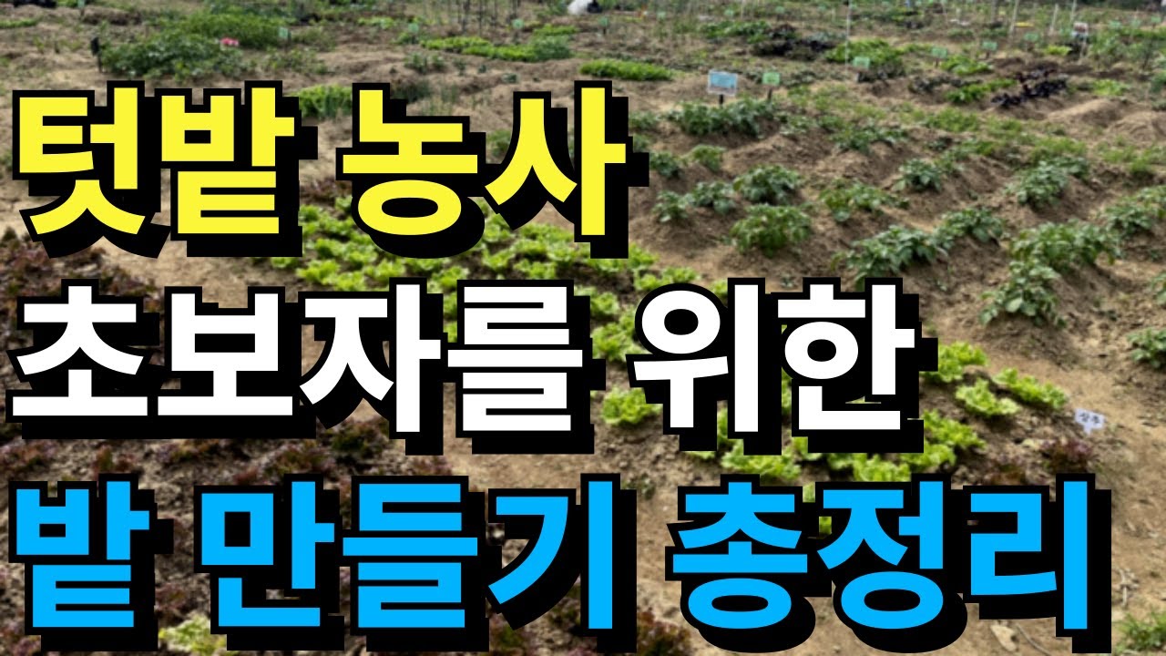 텃밭 농사 초보자를 위한 밭만들기 총정리ㅣ처음 주말농장, 이렇게만 하세요!