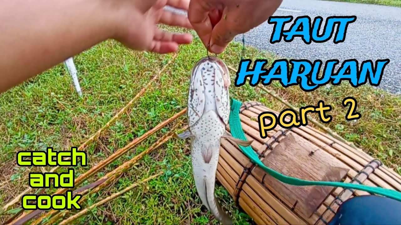 #EP965 Tahan Taut Haruan bahagian 2