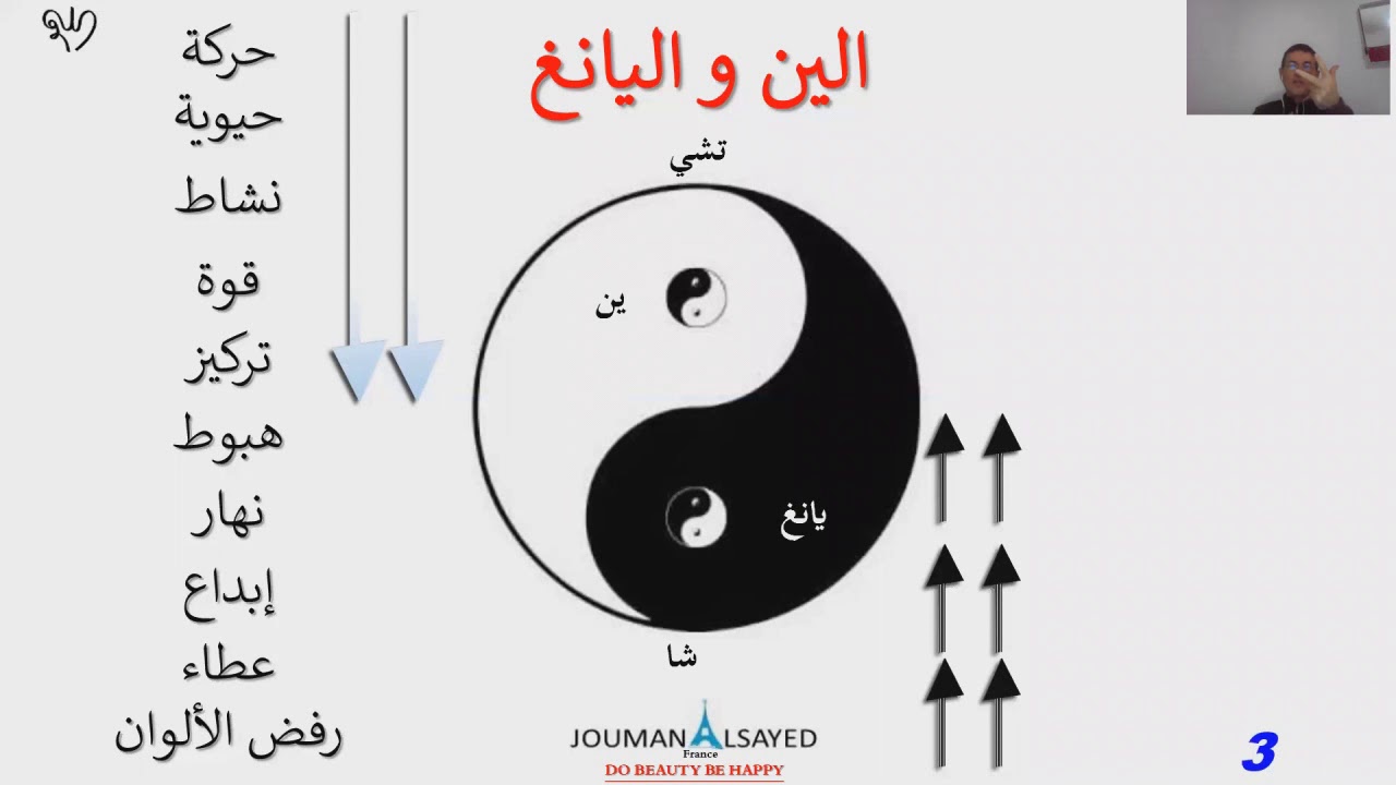 مقطع من تمرين العروة الوثقى - كيف توازن بين الين و اليانغ