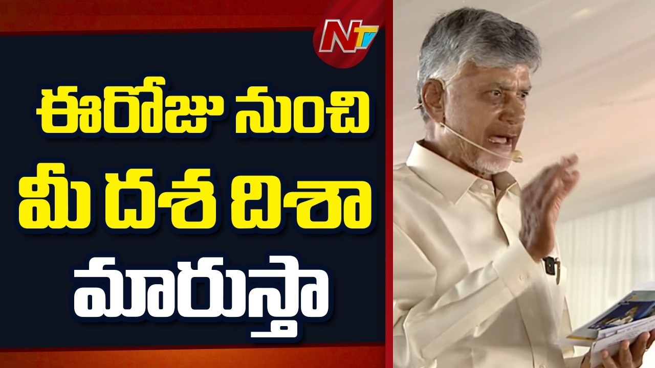 ఎవరైనా తప్పు రికార్డు రాస్తే తాట తీస్తా - CM Chandrababu | NTV Telugu