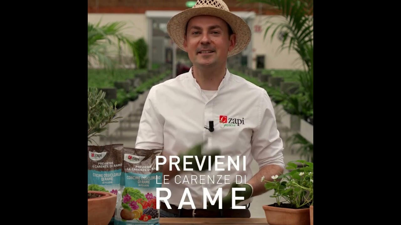 Previeni le carenze di rame