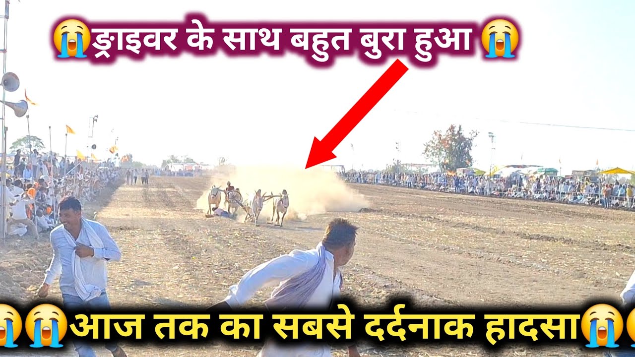 😭बैलगाङीदौड उमरिया का भयानक,दर्दनाक हादसा😭😭।ङ्राइवर हुआ घायल। #bailgadasharyat #accident 