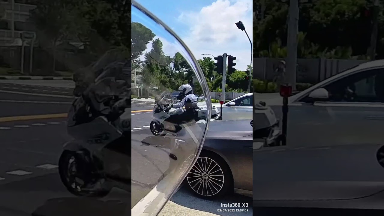TP escort in a jiffy