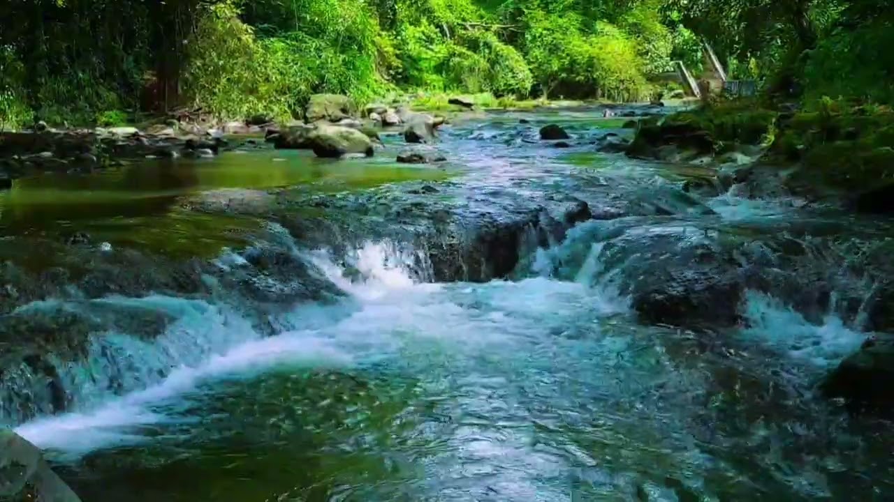 3 Hours of Relaxing River Sounds 🌿 Deep Sleep, Meditation & Stress Relief (No Music)