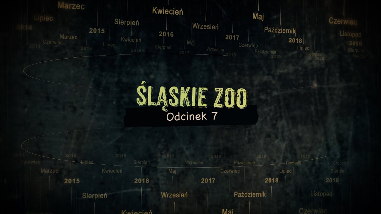 Z Fuglewiczem w Katowicach: Śląskie Zoo