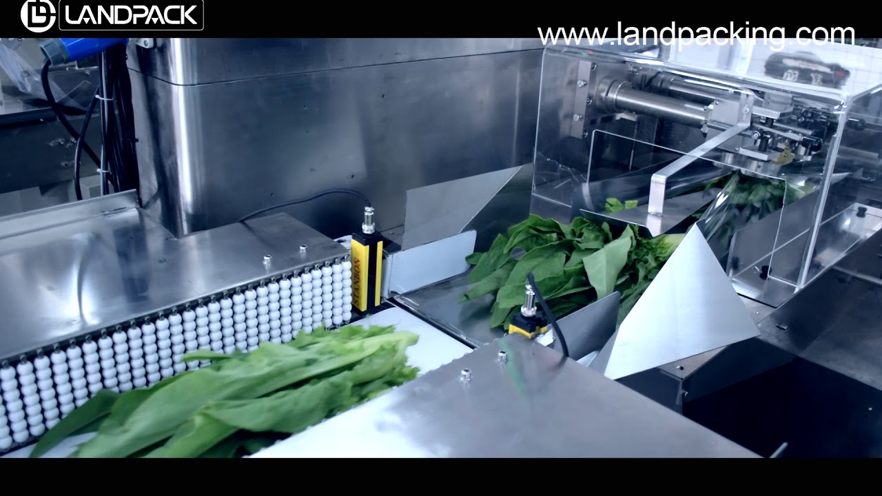 flow packer, flow wrapper manufacturers, hffs packaging machine,