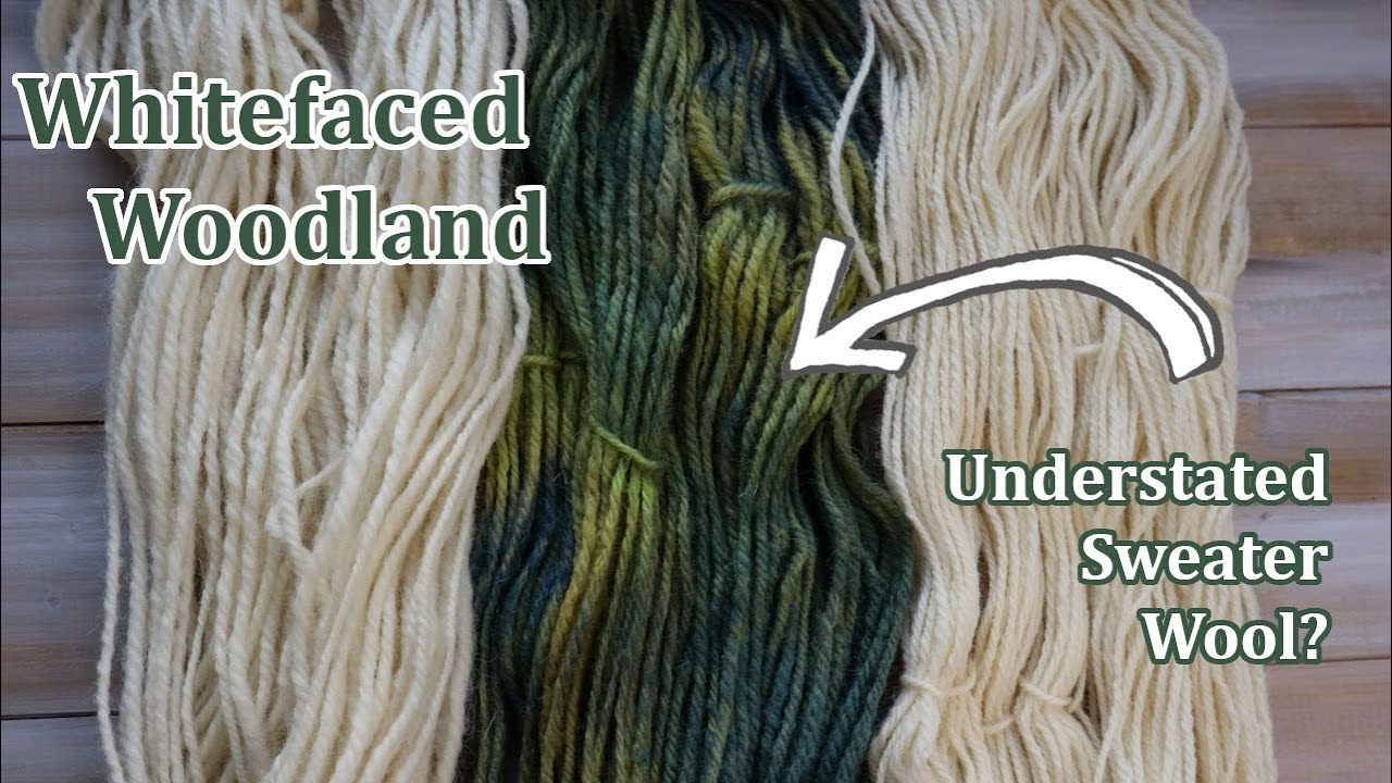Fiber Talk: Whitefaced Woodland - Ep 21 - Purr-fect cat blanket?