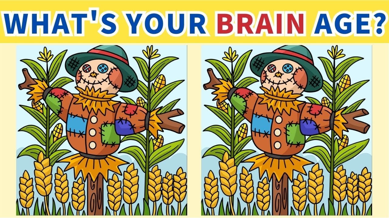 【Spot the difference】Super brain can find the differences in 90seconds | Japanese Puzzle