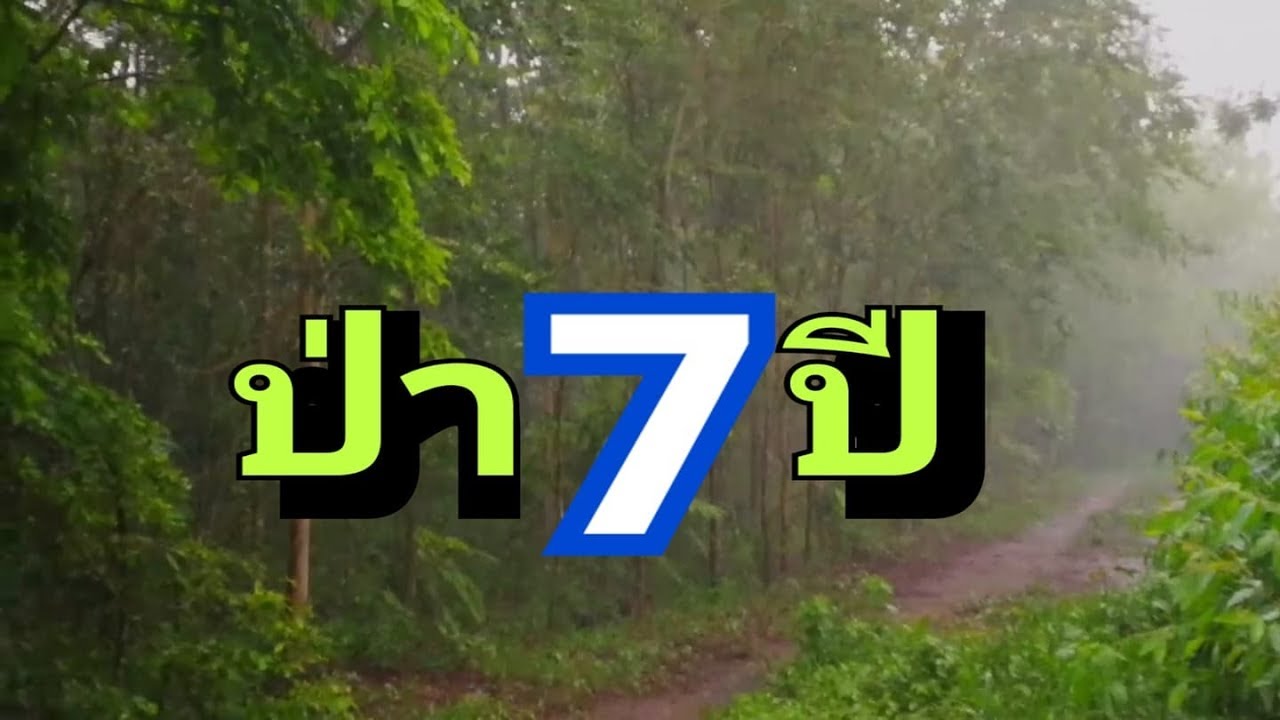 พยุง สัก กันเกรา ตะเคียน มะค่า ป่า7ปี ep43