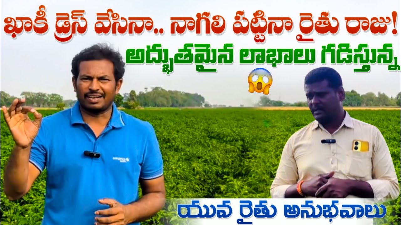 పోలీస్ జాబ్ చేస్తూ మిరప సాగు.. అద్భుతమైన లాభాలు గడిస్తున్న యువ రైతు! | Mirchi Farming by Police.