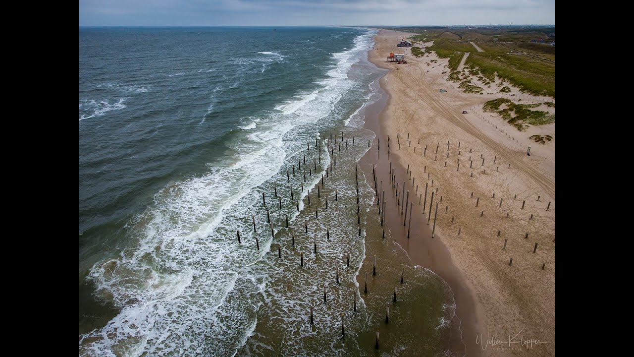 Palendorp Petten aug 2021