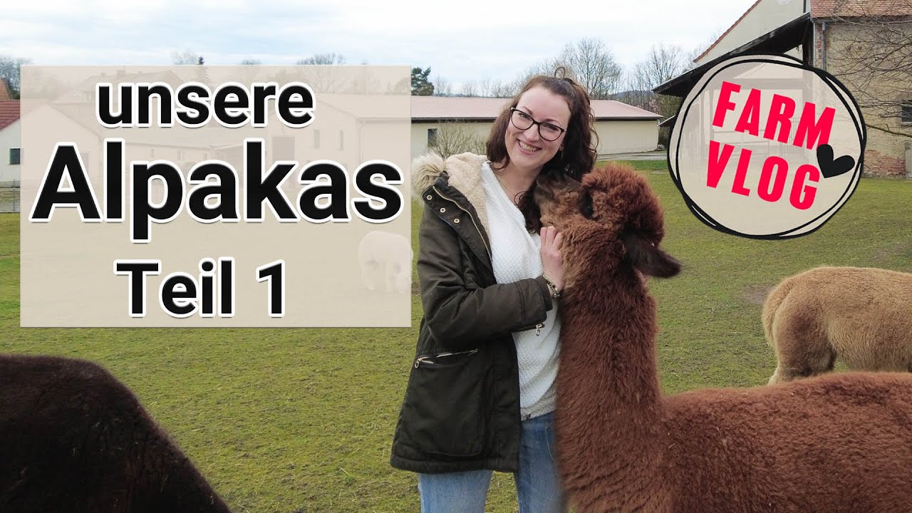 Unsere Stuten | Eine dramatische Geburt 😥