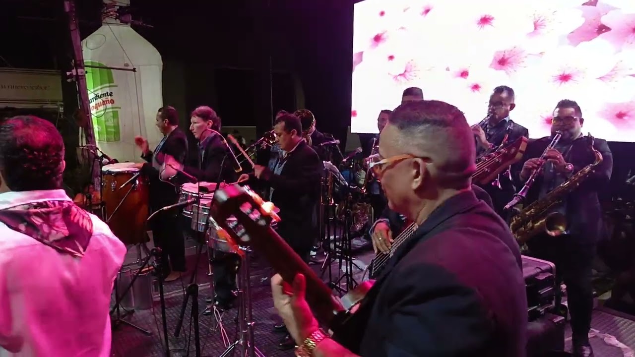 SON DE TIERRA ORQUESTA - PORRO MOCHILA  -  VIVI VERGARA  REPRESENTANTE LEGAL 3005177247 WHATSAPP 