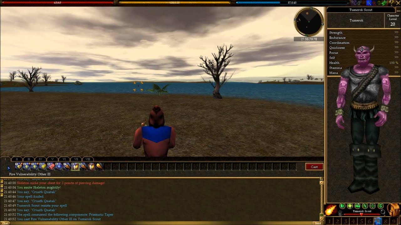 Let's Play Asheron's Call - Ep 3b - Dizzarian's Return to AC