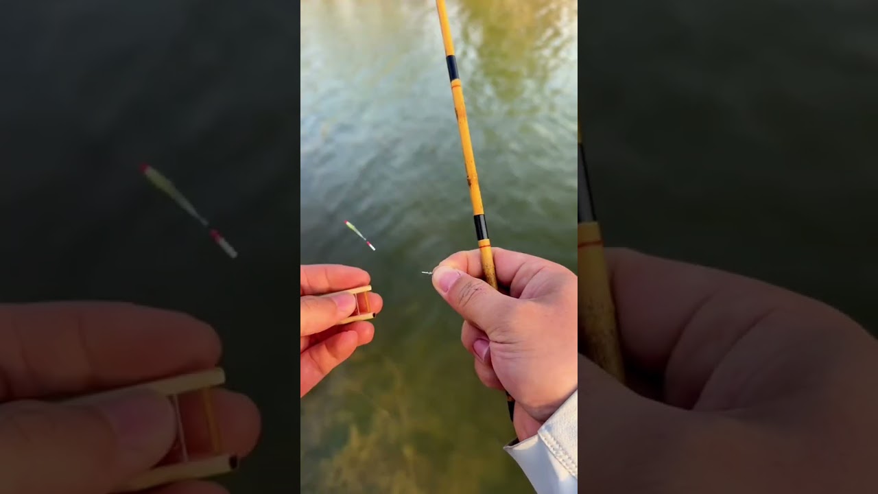 Just Micro fishing! #microfishing #fishing #microfish #ultralightfishing #tinyfishing